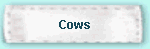 Cows