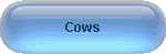 Cows